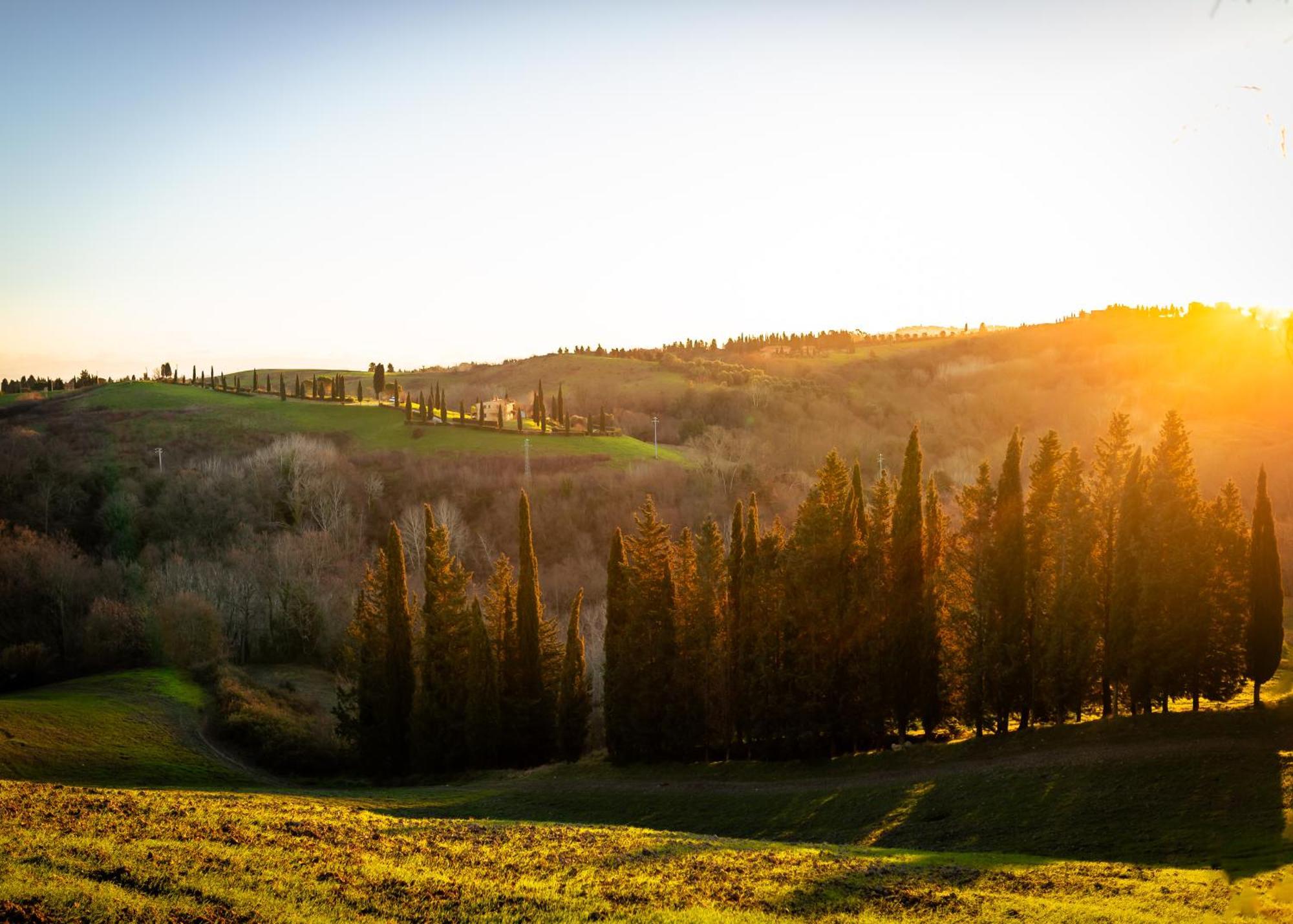 Villa Borgo Il Poggio Agritourismo Montaione Exterior foto
