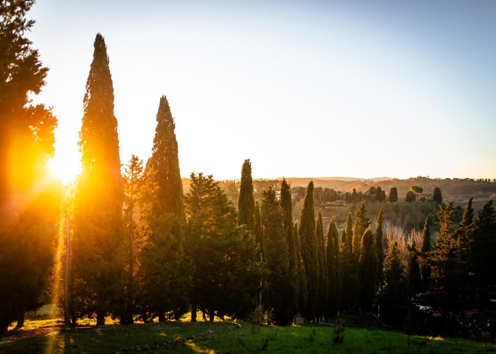 Villa Borgo Il Poggio Agritourismo Montaione Exterior foto